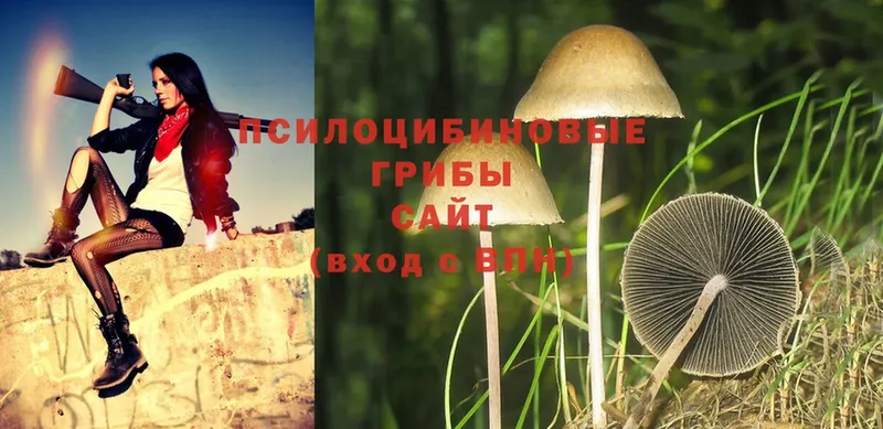 Псилоцибиновые грибы MAGIC MUSHROOMS  Белоусово 